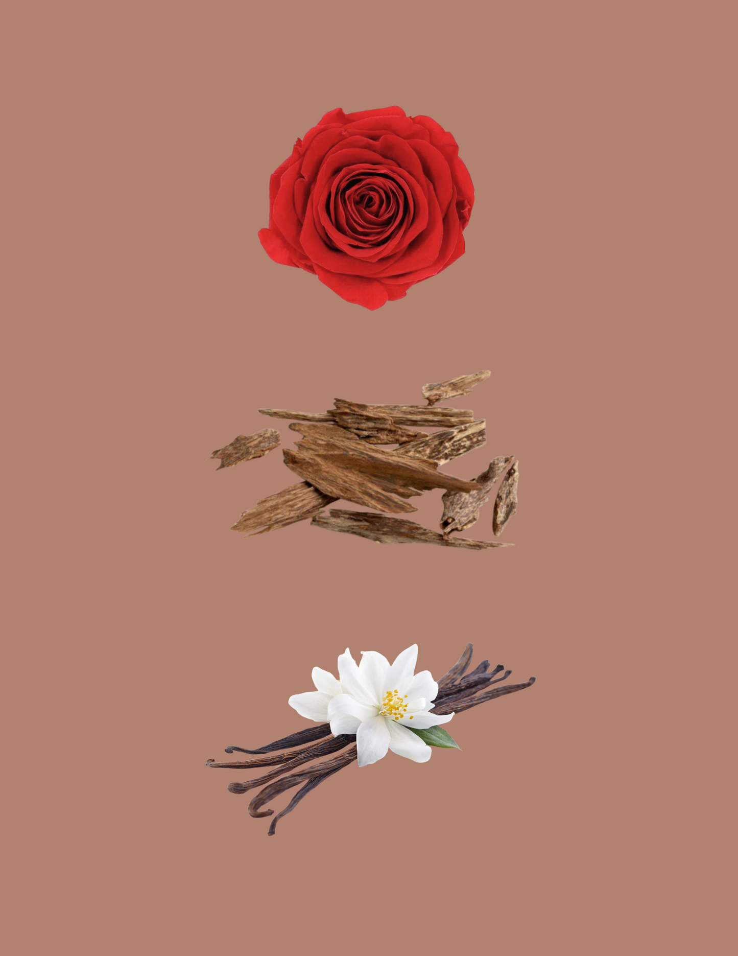 Fakhar (Rose Gold) by Lattafa