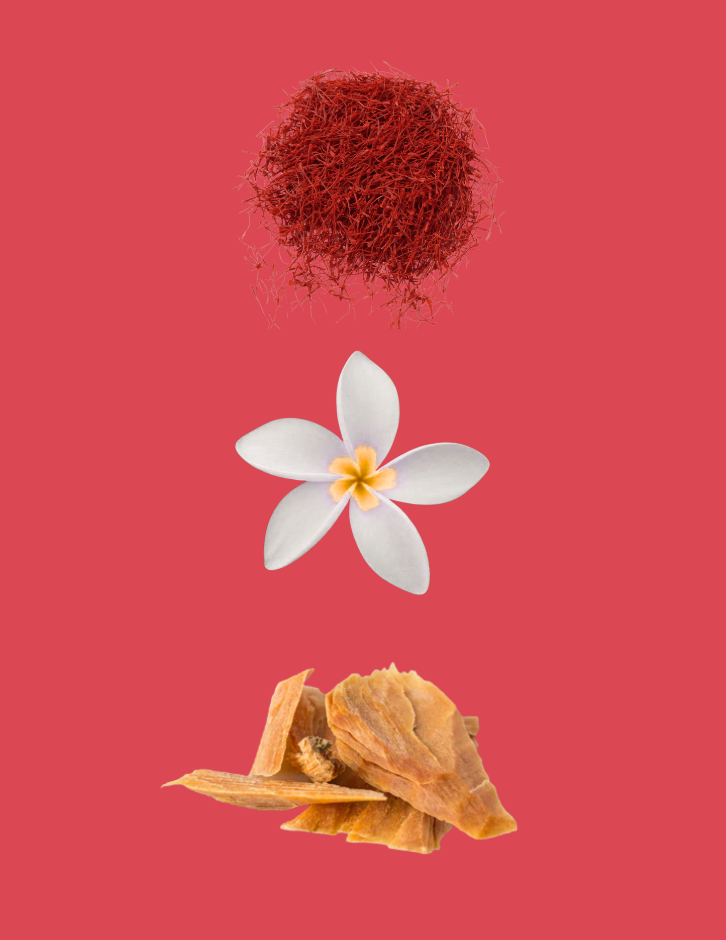 Philos Rosso by Maison Alhambra